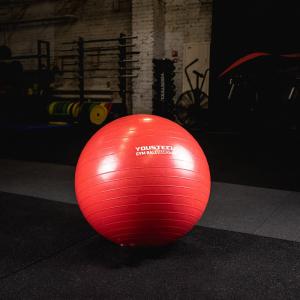 Купить Гимнастический мяч Yousteel Hard 55см в Великийустюге 